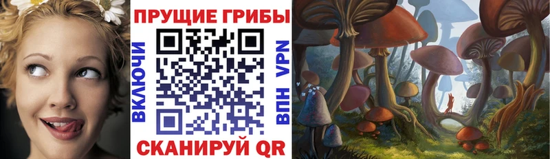 гидра ТОР Ахтырский Галлюциногенные грибы MAGIC MUSHROOMS